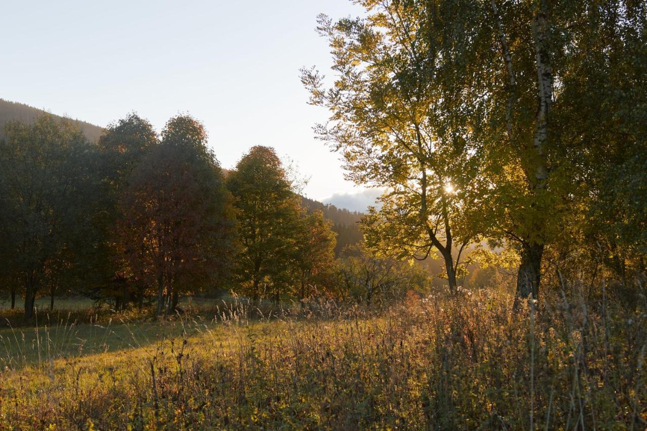 Apartmán U Staré hájenky Jindrichov Exteriér fotografie