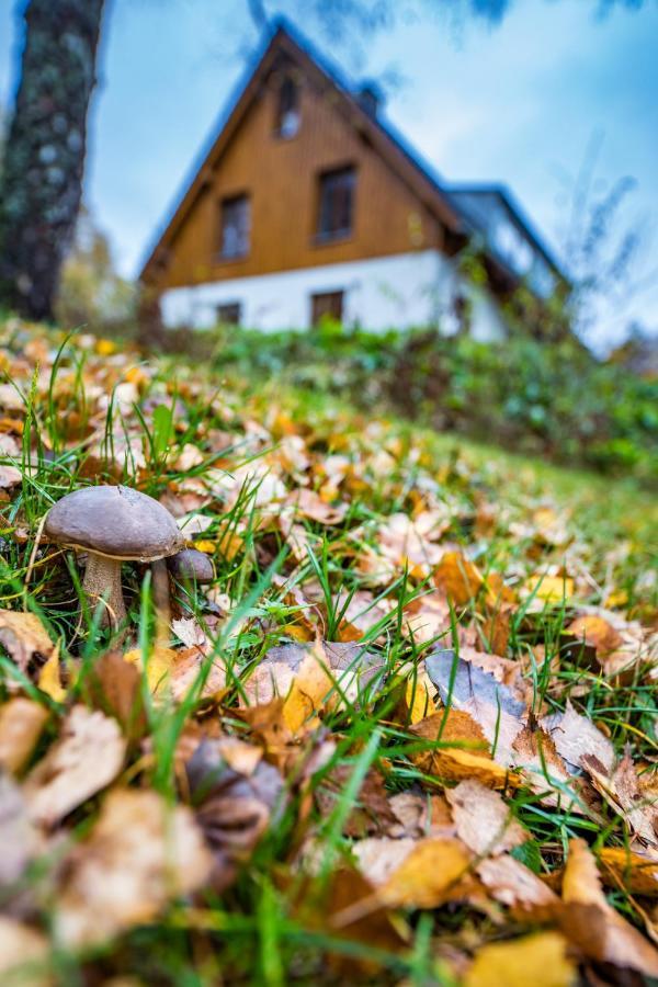 Apartmán U Staré hájenky Jindrichov Exteriér fotografie